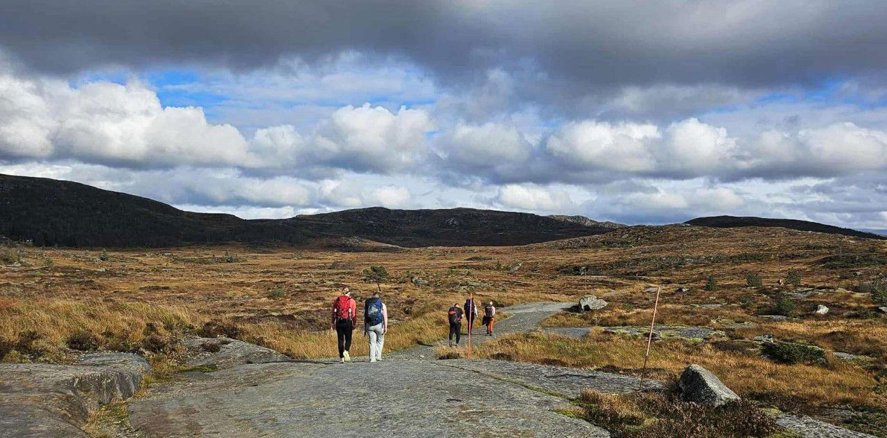 gåtur på avstand.jpg