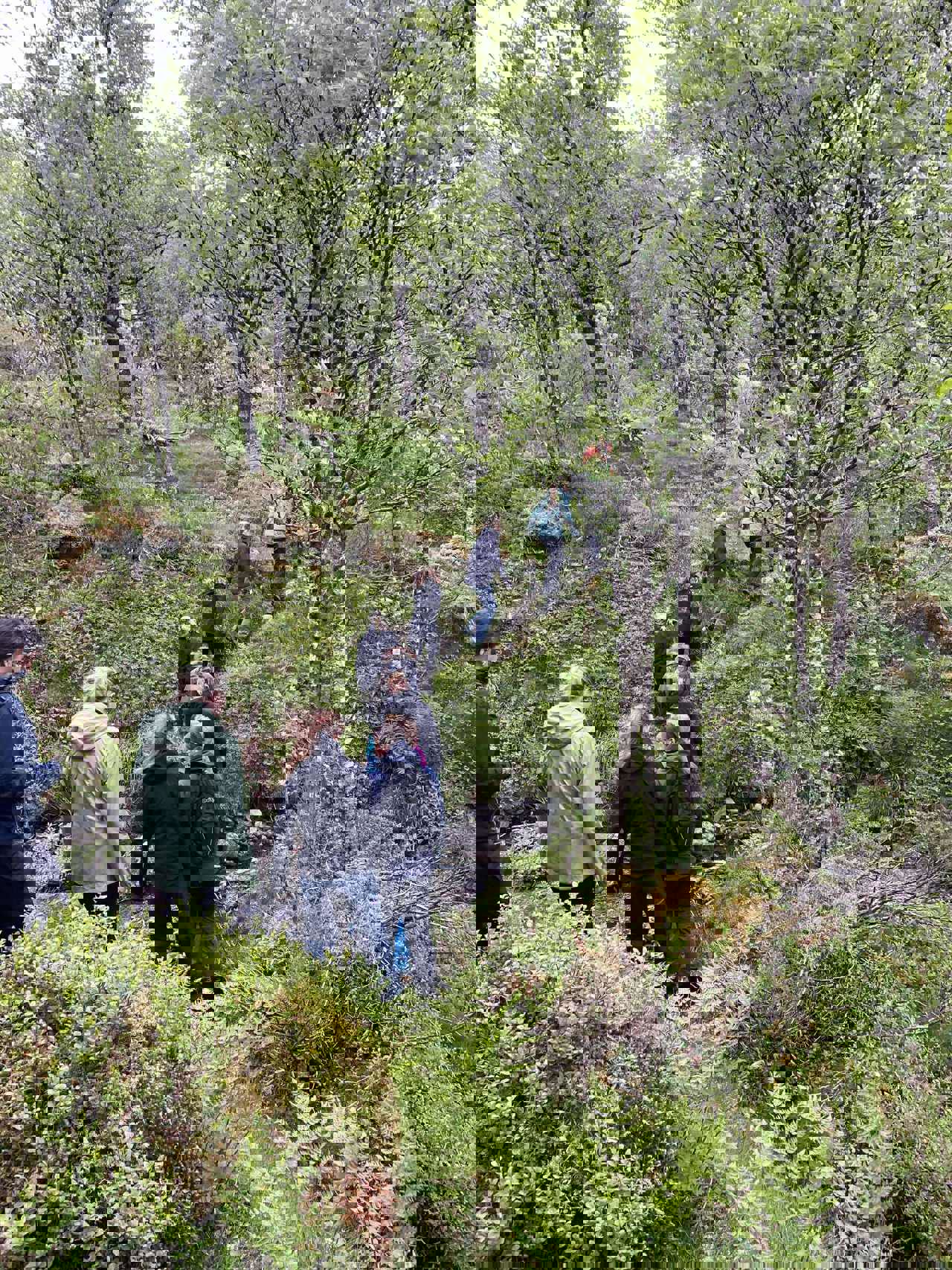 855b7e62-be06-4bc4-ad80-94a9b32fae32.jpg