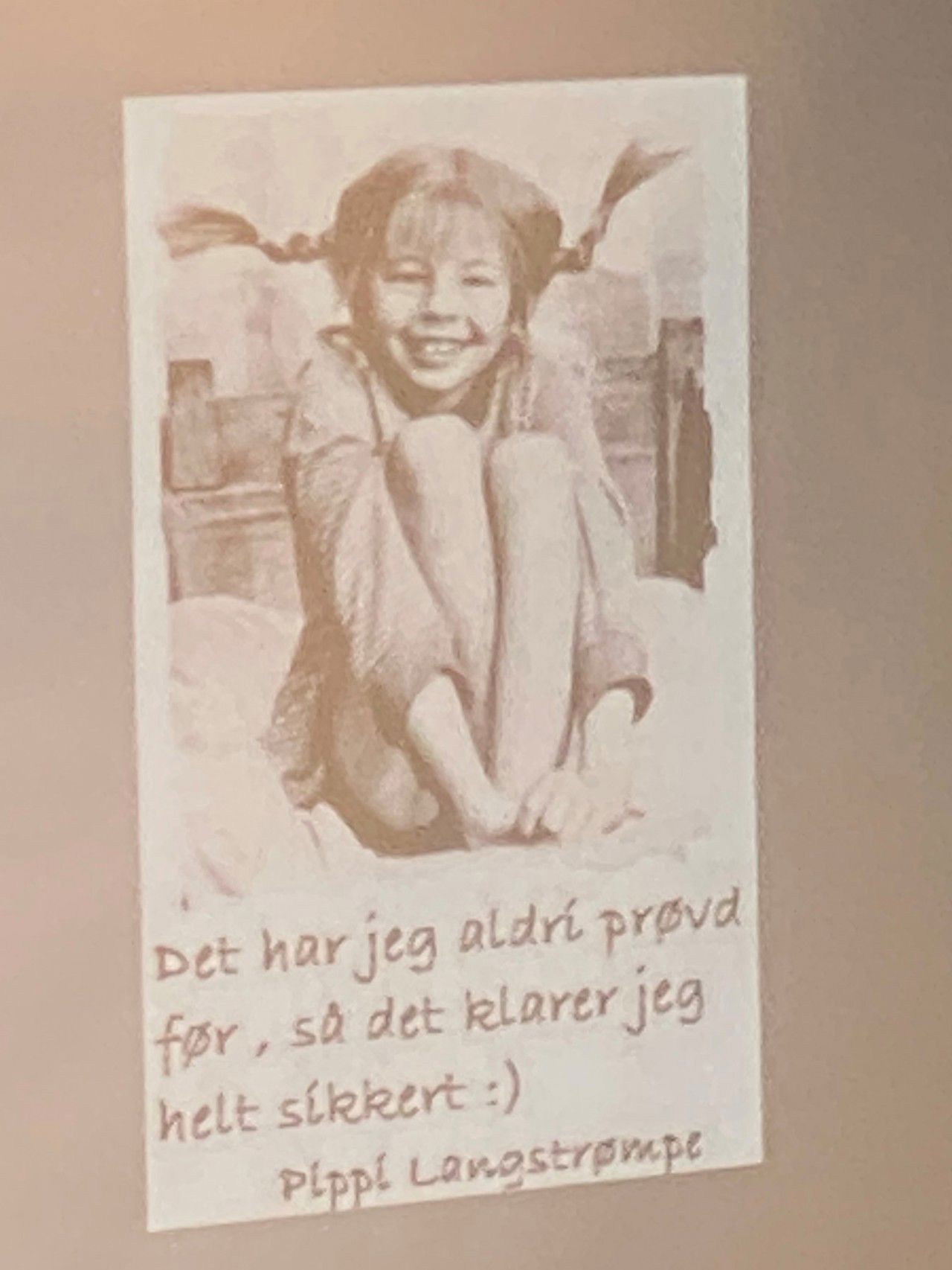 Pippi.jpg