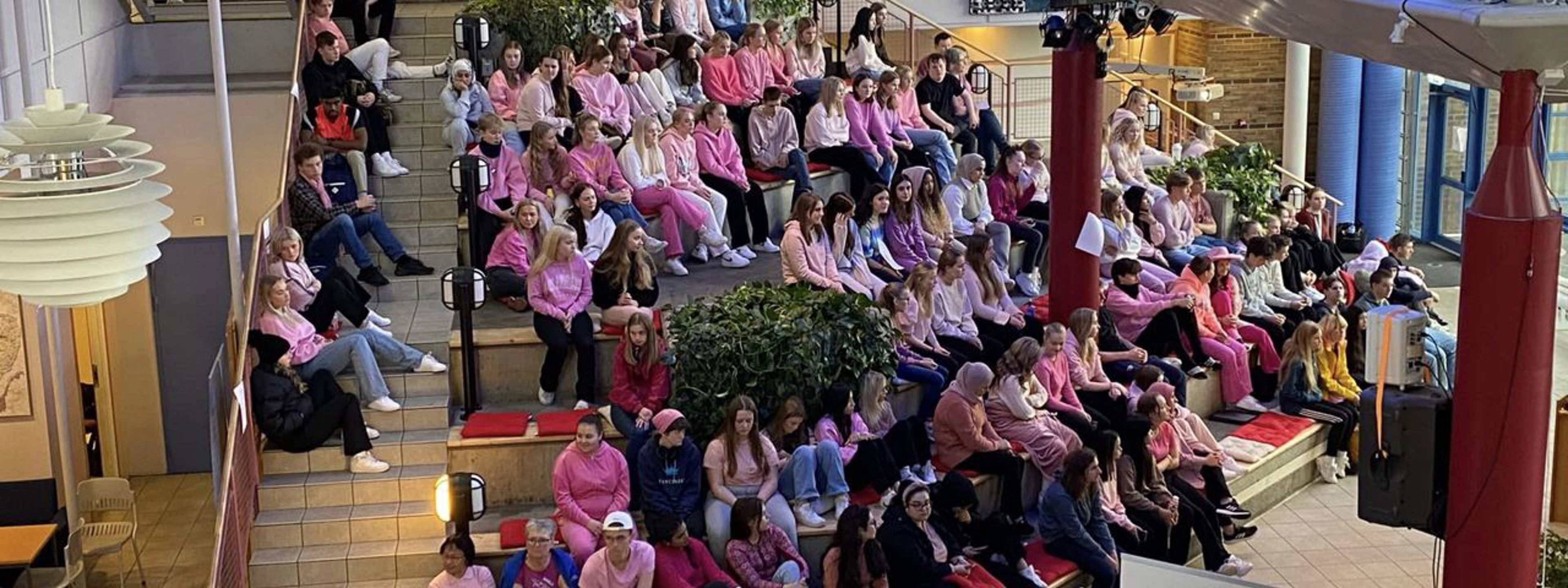 Elevane sit i Fuglaberget. Mange er kledd i rosa.