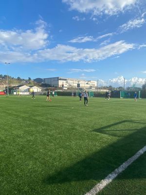 Elevar speler fotball på kunstgrasbanen.